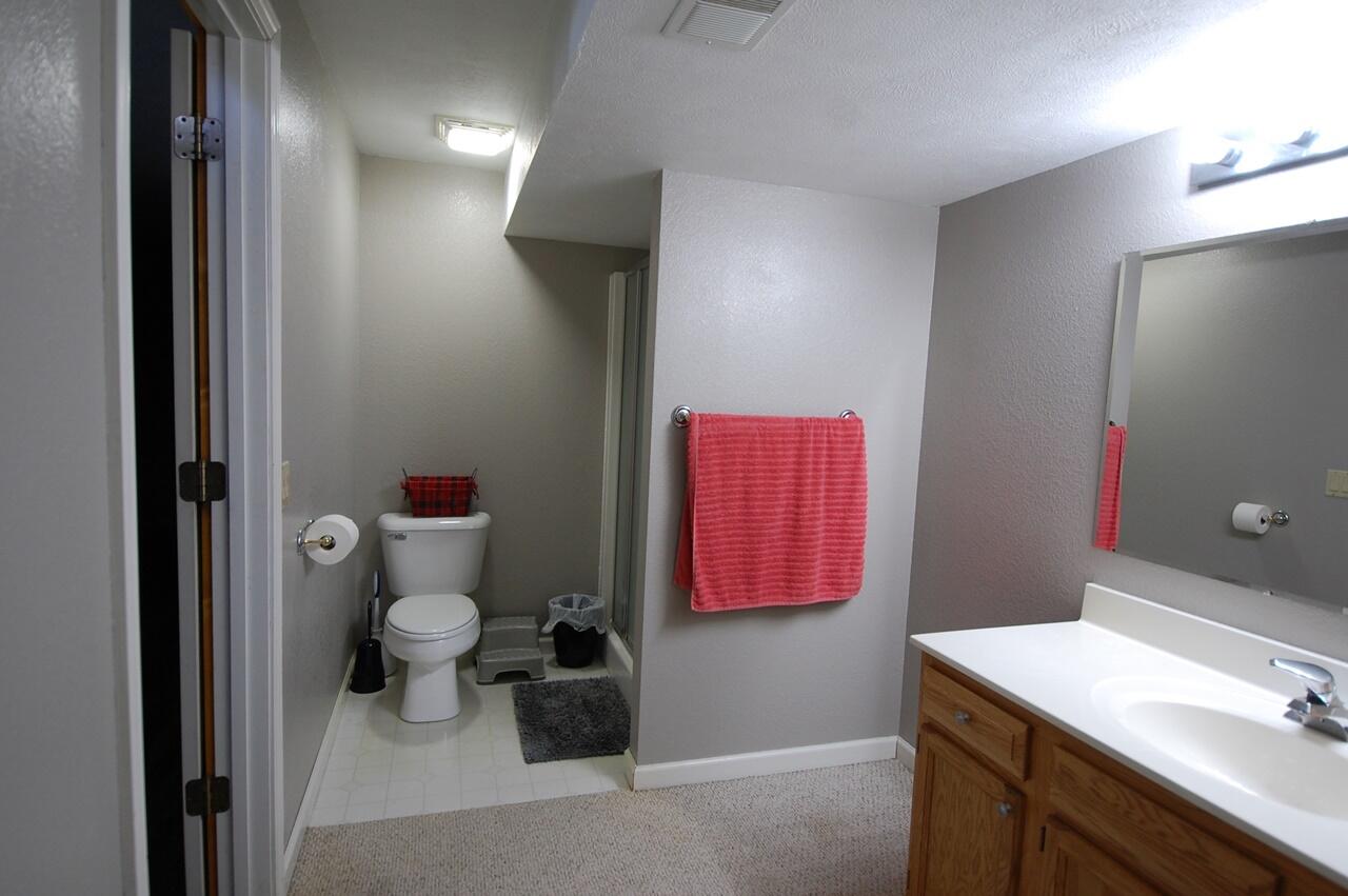 8760 Rambling Way Canadian Lakes, MI 49346 - Photo 20 of 28 21 Lower Full Bath