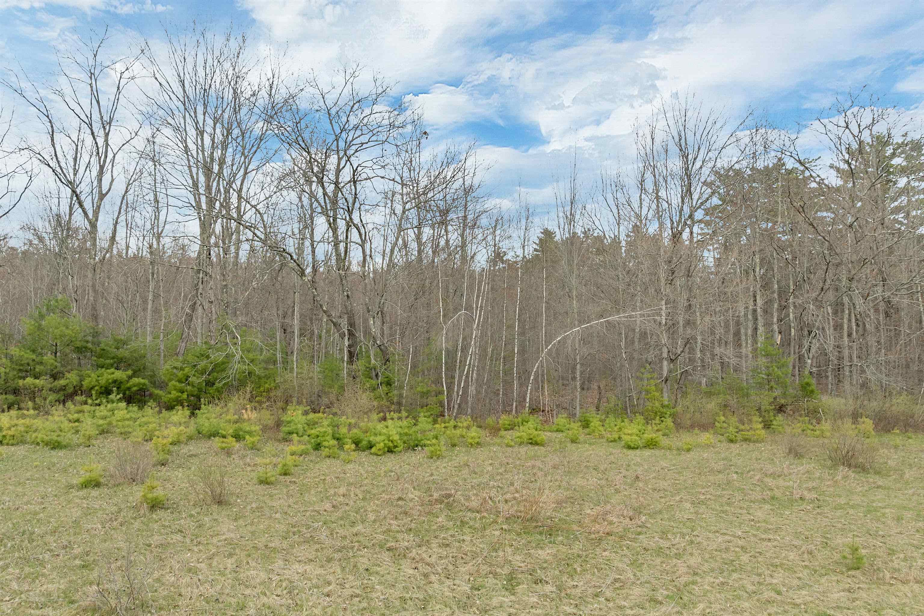0 Meredith Neck Road Meredith, NH 03253 - Photo 20 of 24