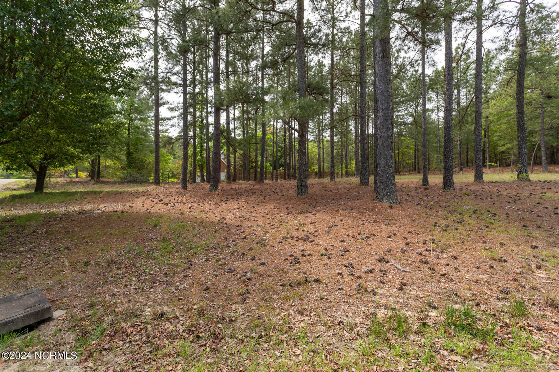 Tbd Shagbark Road West End, NC 27376 - Photo 3 of 7 TBD Shagbark Ct-1