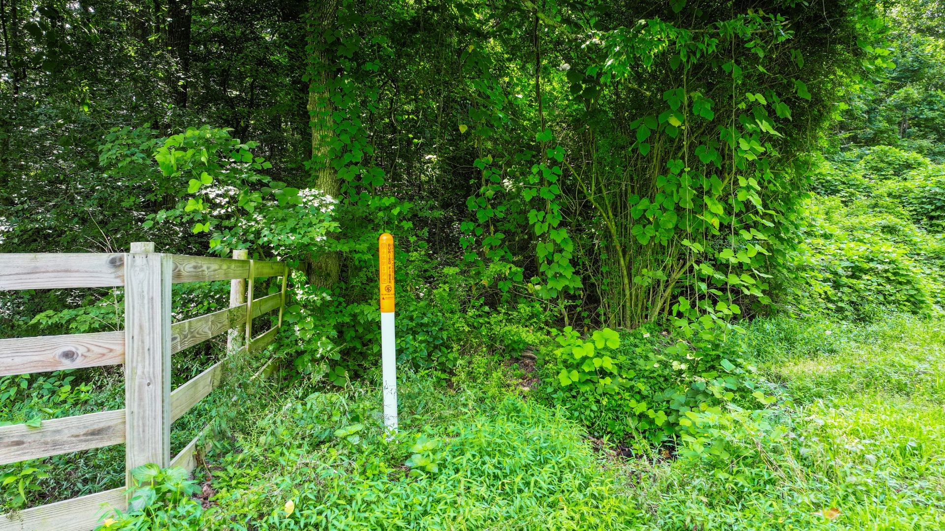 0 Davis Hollow Road Minor Hill, TN 38473 - Photo 4 of 23
