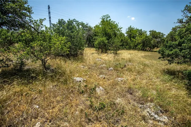 a view of a field with trees in the background