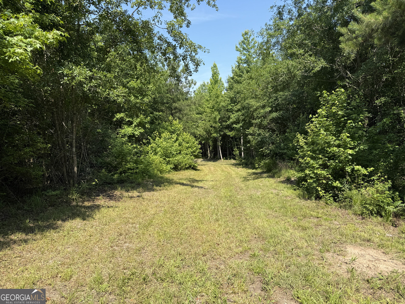 651 Branan Road Toomsboro, GA 31090 - Photo 53 of 53