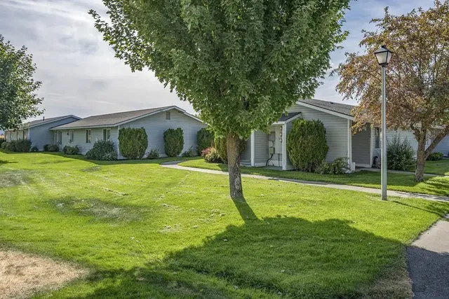 a view of a house with a backyard