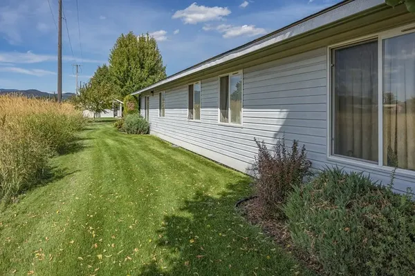 a backyard of a house with plants and trees