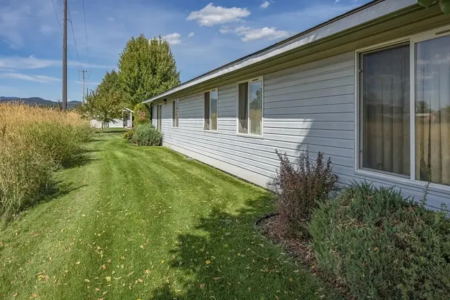 a backyard of a house with plants and trees