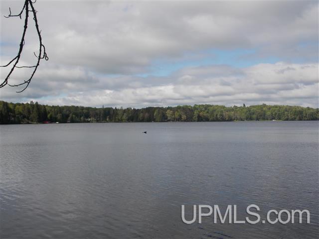 665 Sunset Lake Road Iron River, MI 49935 - Photo 8 of 21 Gallery Image 8