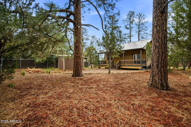 a view of a yard with plants and trees