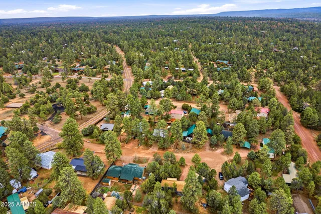 a view of a city with lush green forest