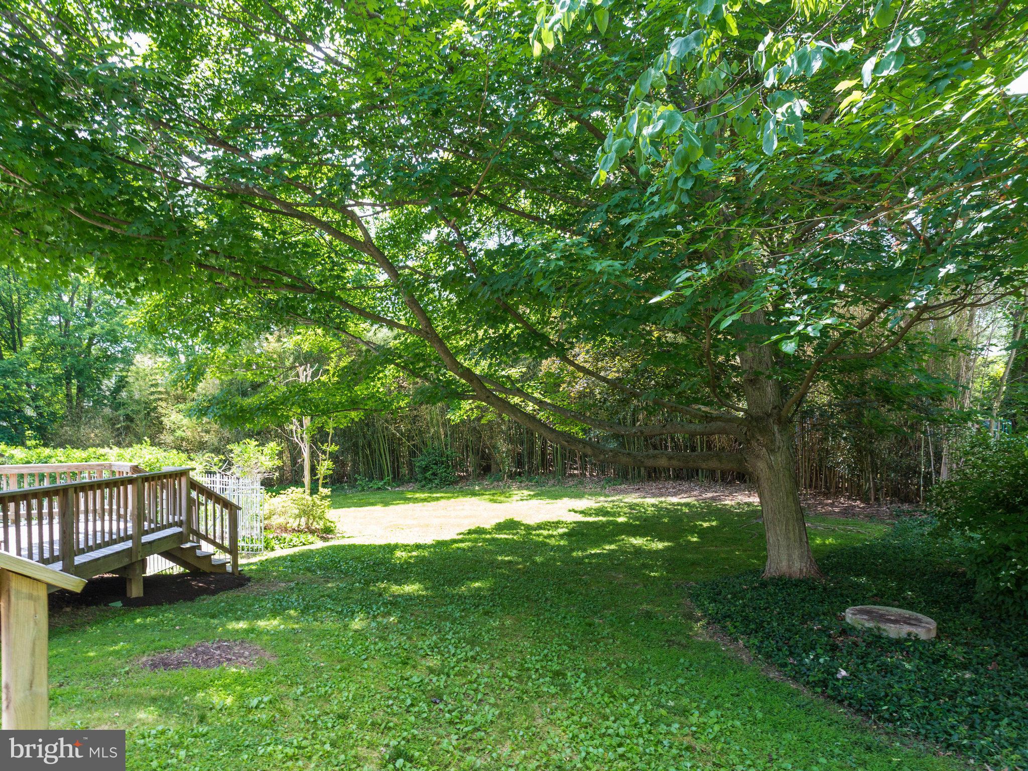 7909 Foxhound Road McLean, VA 22102 - Photo 22 of 25 Exterior (Rear)
