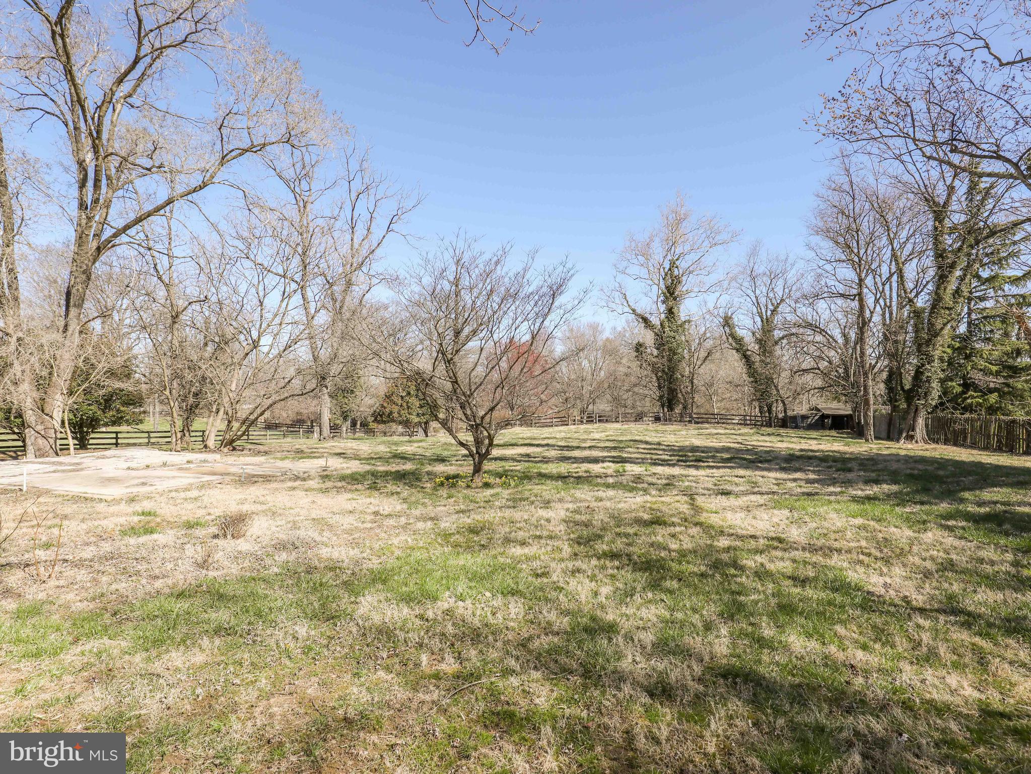 3079 Rectortown Road Marshall, VA 20115 - Photo 40 of 44 Backyard