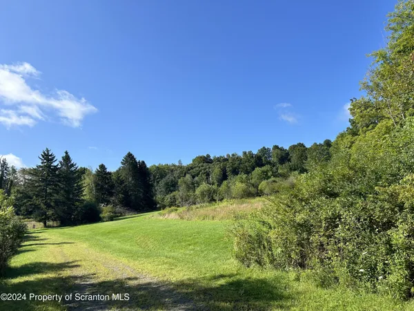 a view of a field with an ocean