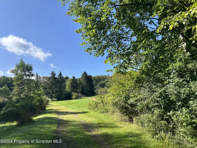 a view of a yard with a house in the background