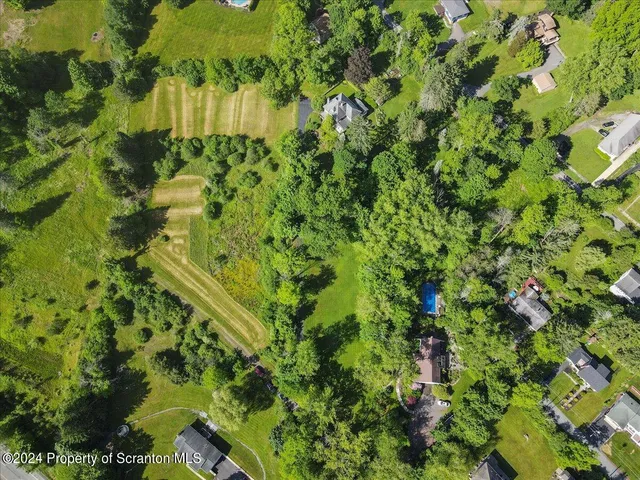 a view of a plant with a plant