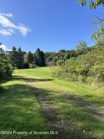 a view of a golf course with a big yard