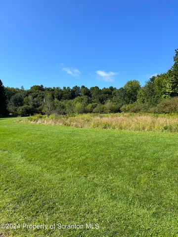 a view of a yard with a tree