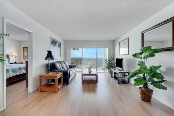 a living room with furniture a potted plant and a large window