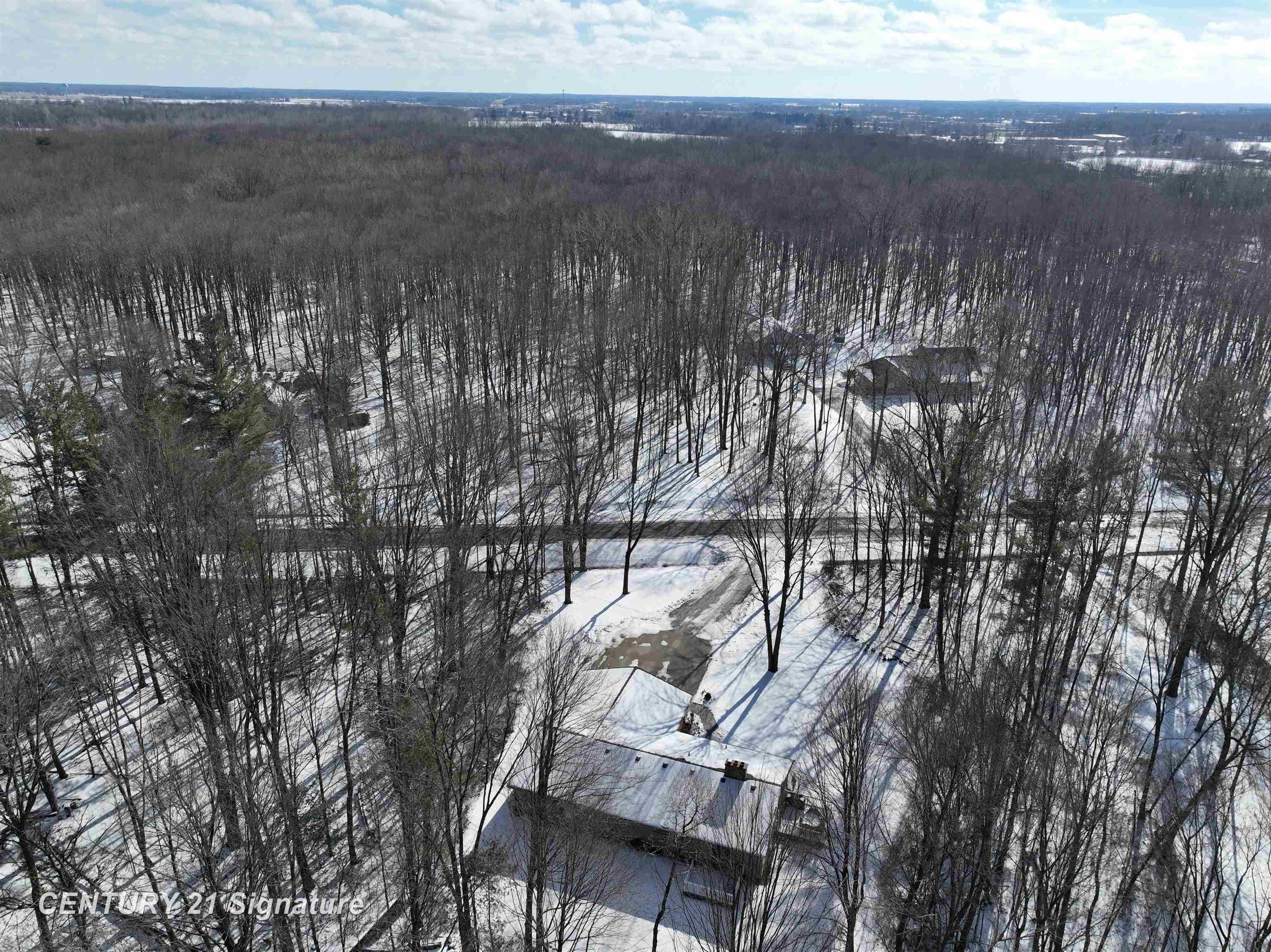 9201 Downing Road Birch Run, MI 48415 - Photo 56 of 59