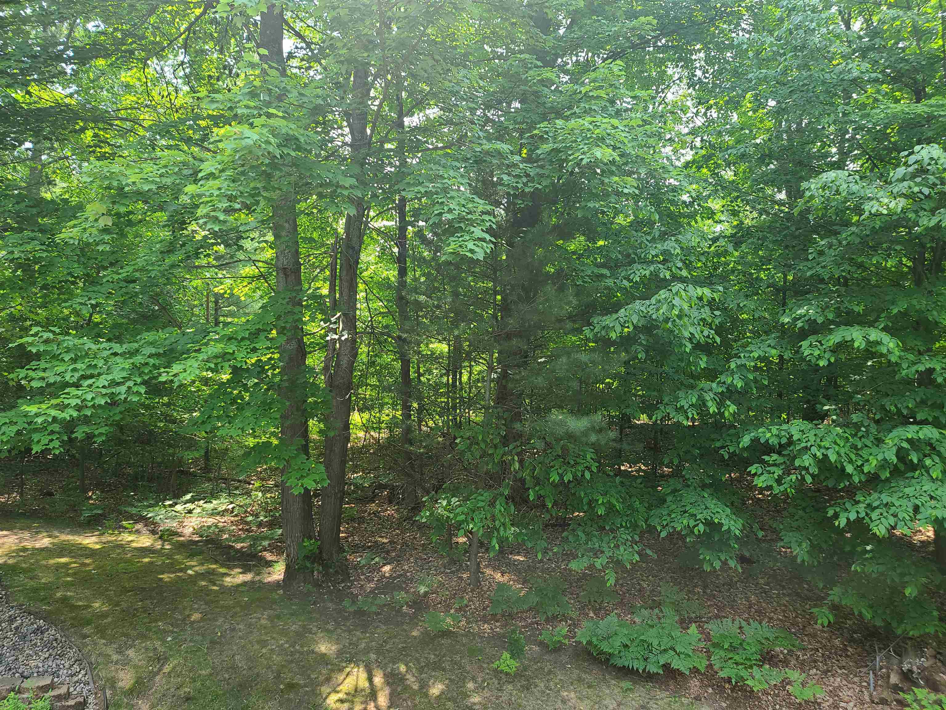 8188 Sparling Road Fife Lake, MI 49633 - Photo 12 of 38