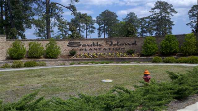 107 Michau Road Georgetown, SC 29440 - Photo 2 of 10