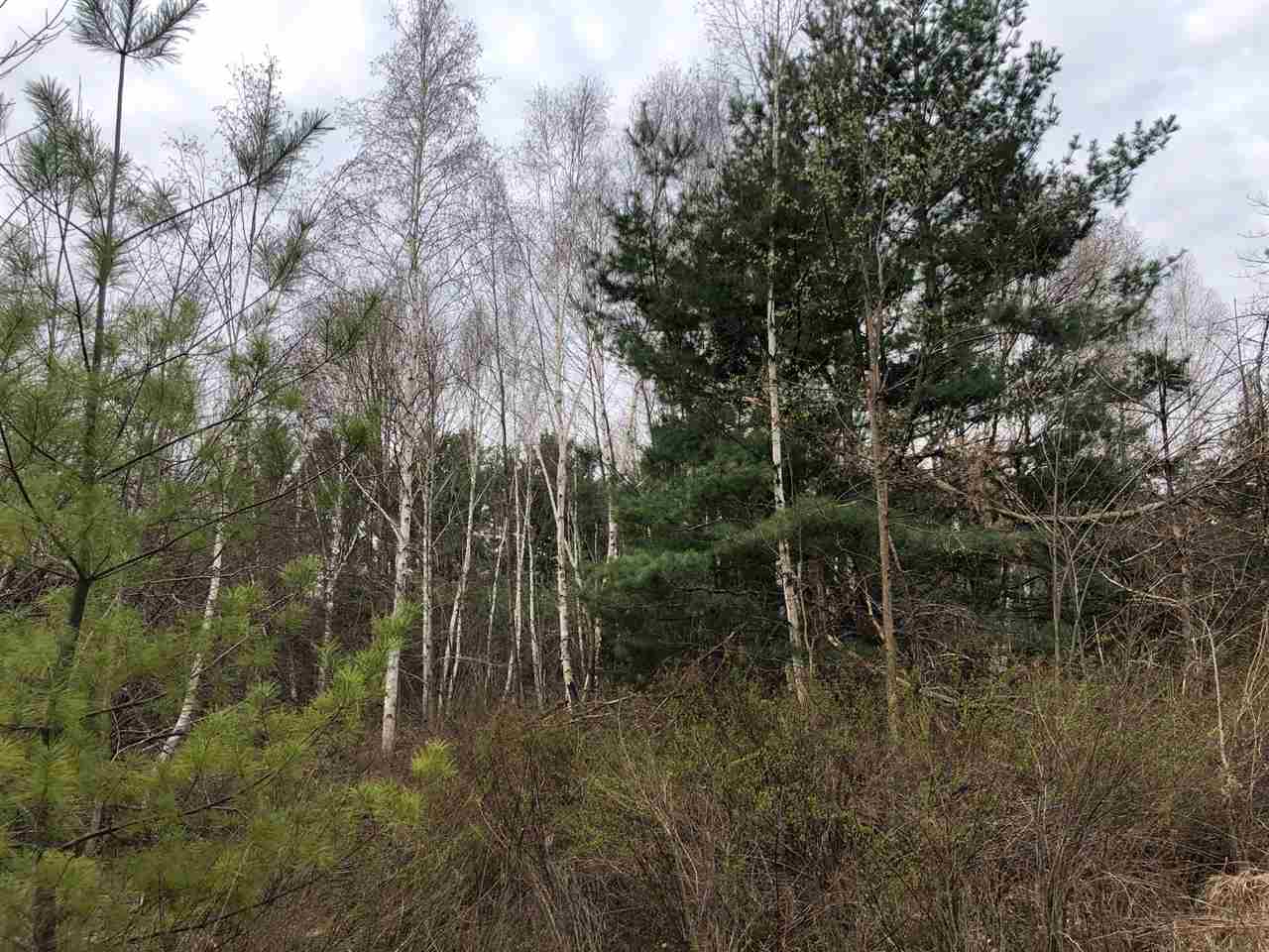 40-acres East Cranberry Lake Road Harrison, MI 48625 - Photo 12 of 21