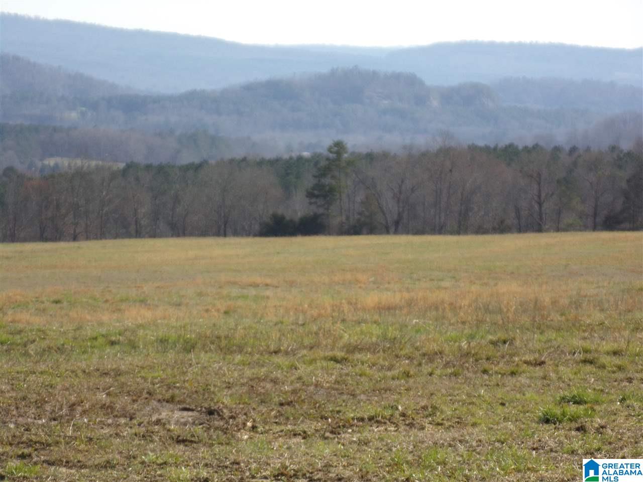 0 Posey Road, Unit TRACT 4 Blountsville, AL 35031 - Photo 2 of 6
