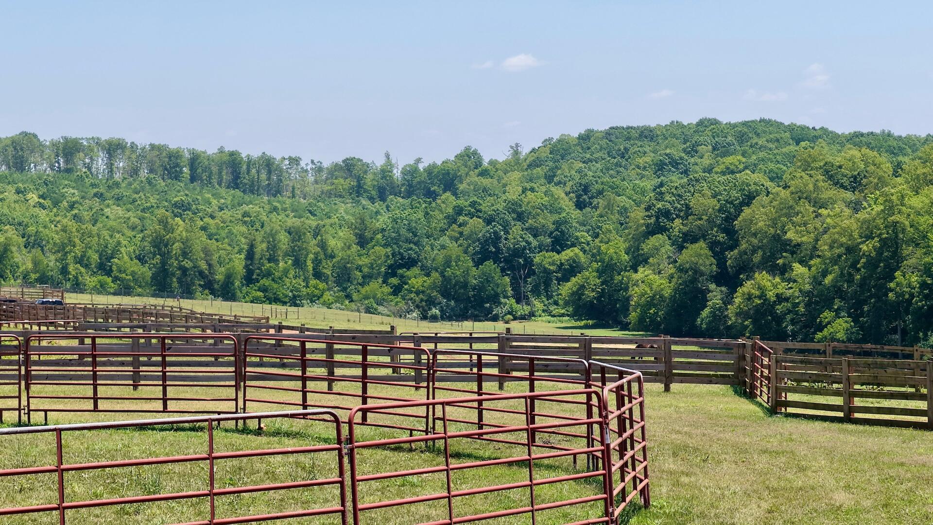 2754 Horseshoe Bend Road Moneta, VA 24121 - Photo 9 of 67 Horse Farm - 27