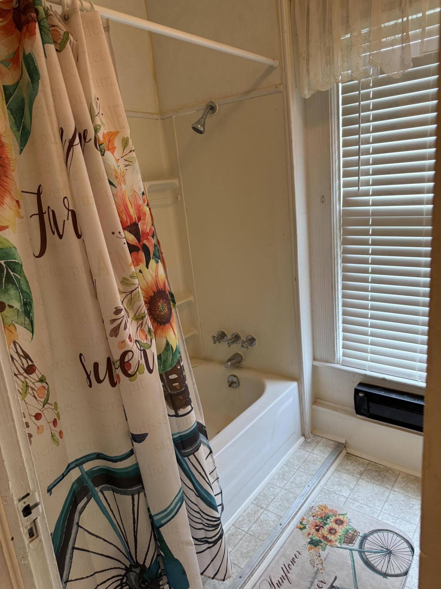 412 West Ridgeway Street Clifton Forge, VA 24422 - Photo 14 of 20 full bath upper
