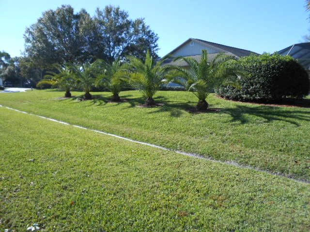 2728 Southeast Carthage Road Port St. Lucie, FL 34952 - Photo 40 of 41 DSCN2374
