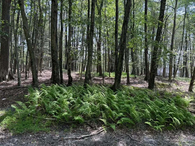 $351,500 | Skyview Lake Skyview Lake Mountain Drive, Greentown, PA 18426