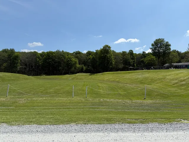 a view of a water with a large trees