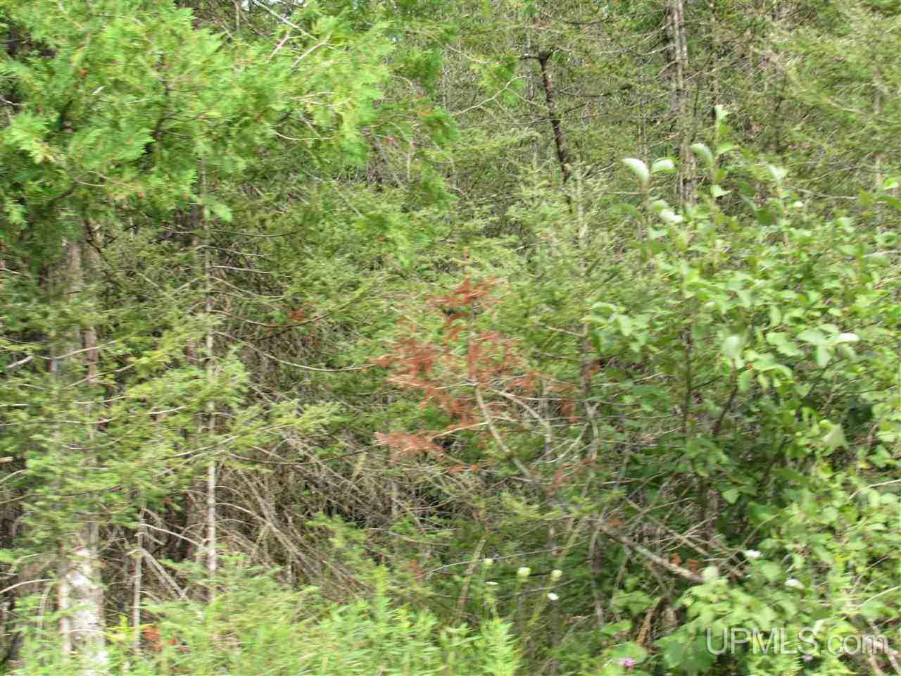 M69 And Shiversky Road Perronville, MI 49873 - Photo 3 of 16