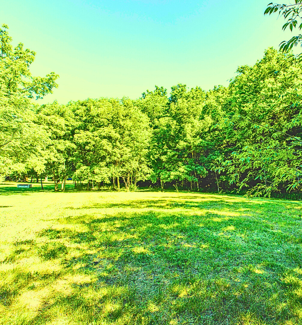 a view of a field with an outdoor space