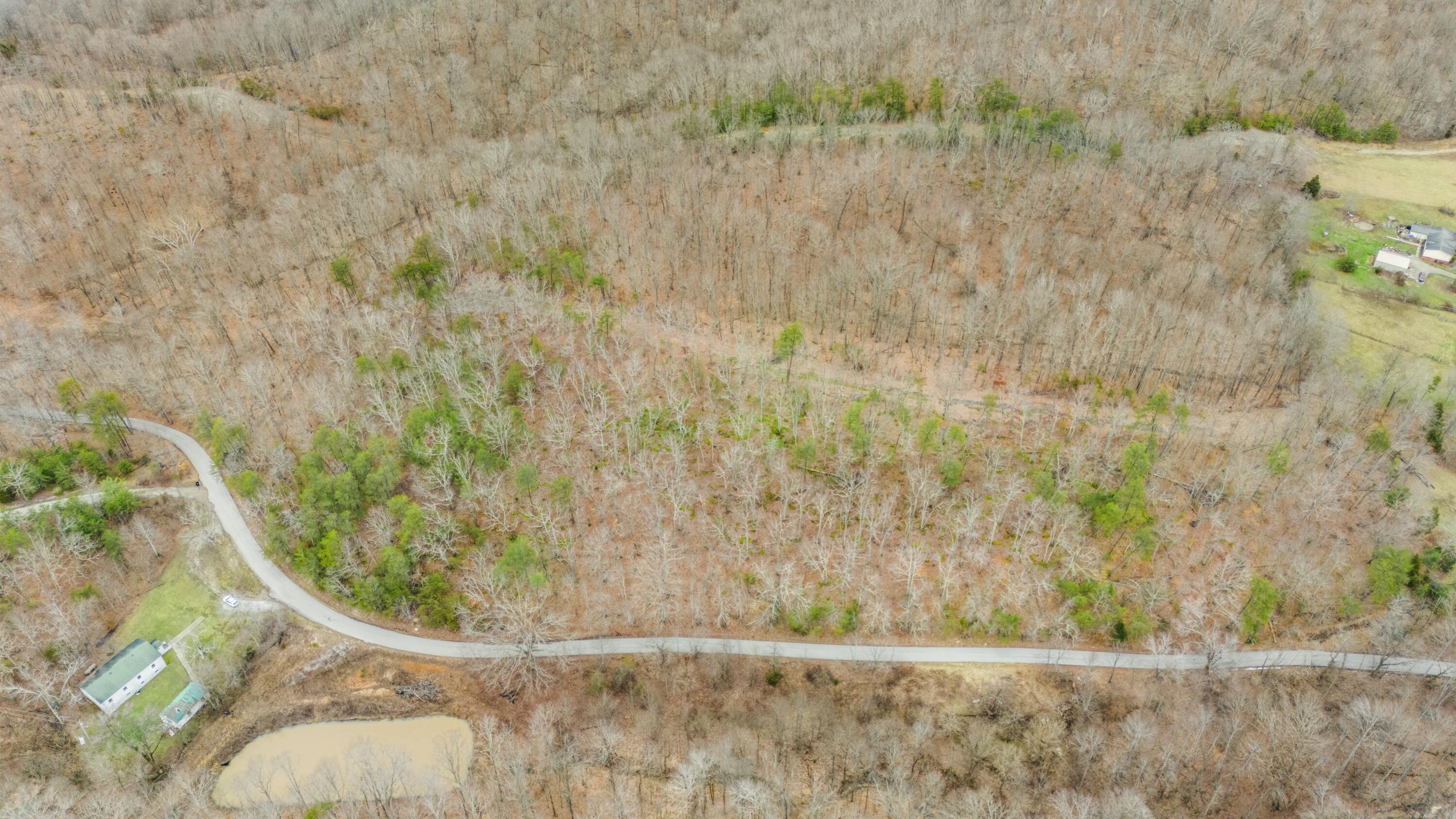 199 Midway Road Winchester, KY 40391 - Photo 3 of 15 tempImageHsrUHt