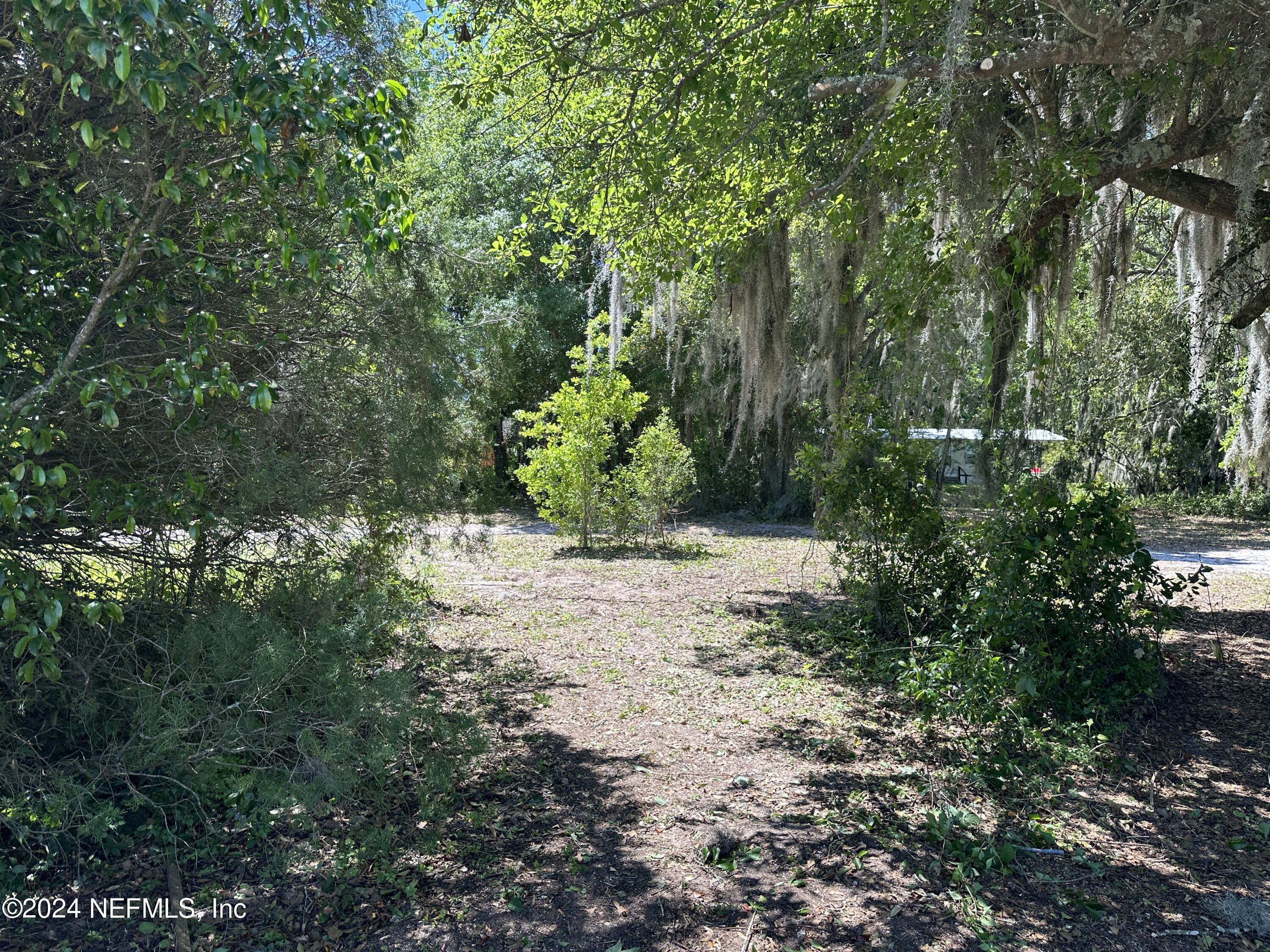 8129 Colee Cove Road St. Augustine, FL 32092 - Photo 4 of 17 Walking onto lot