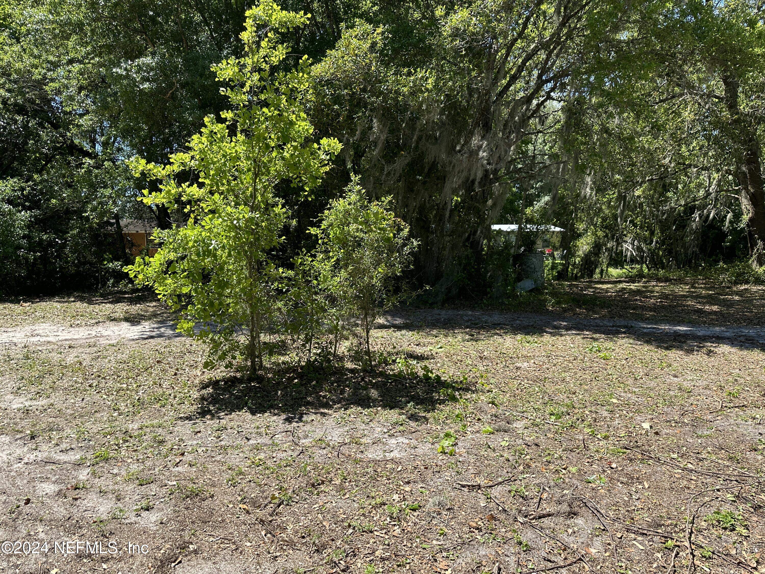 8129 Colee Cove Road St. Augustine, FL 32092 - Photo 7 of 17 Middle of lot toward the back