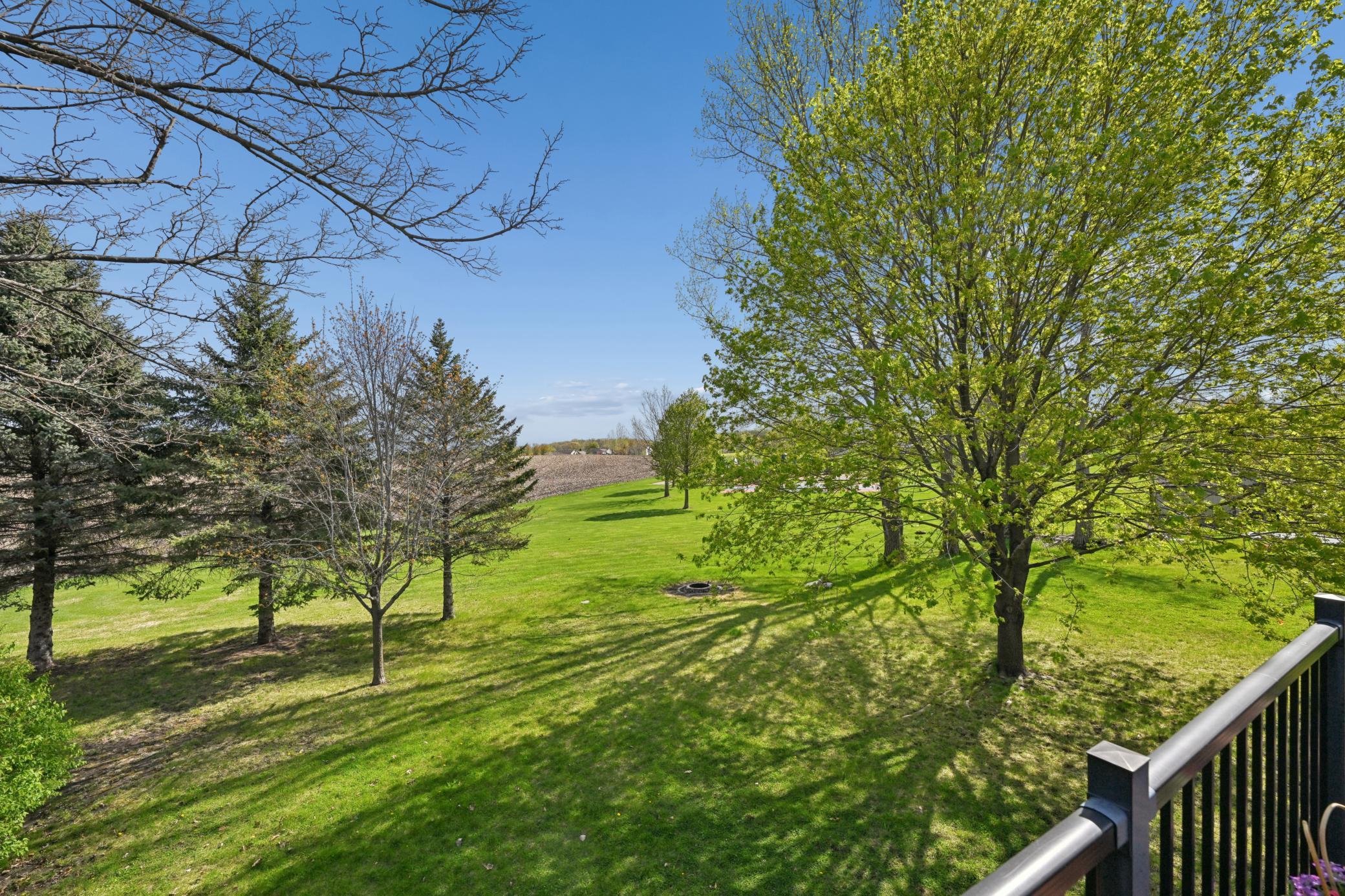 2028 Meadow Street Cologne, MN 55322 - Photo 33 of 36
