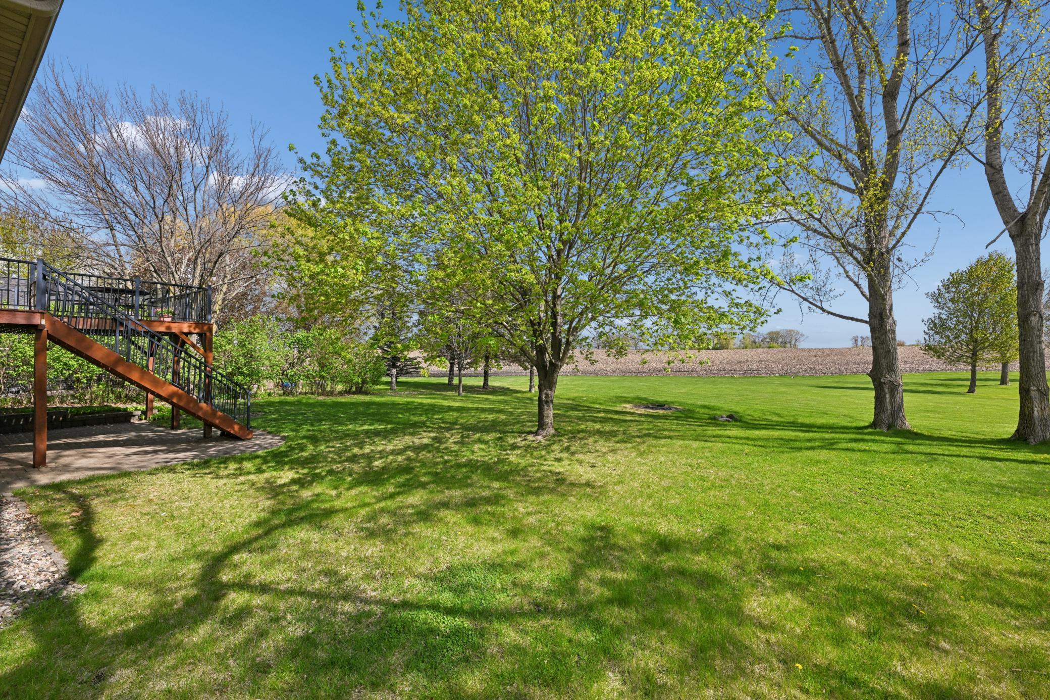 2028 Meadow Street Cologne, MN 55322 - Photo 34 of 36