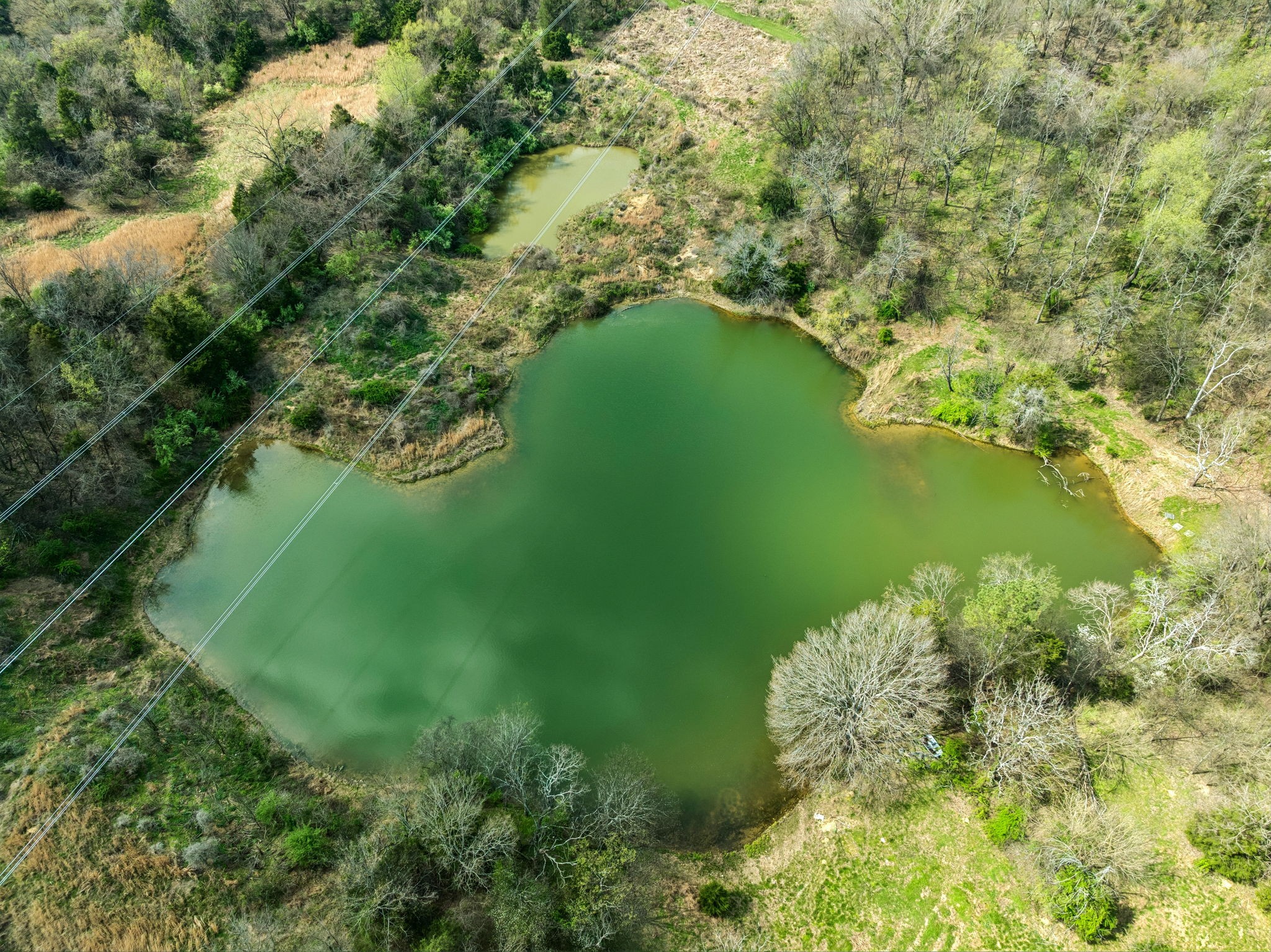 0 Tom Sharp Road Columbia, TN 38401 - Photo 55 of 60