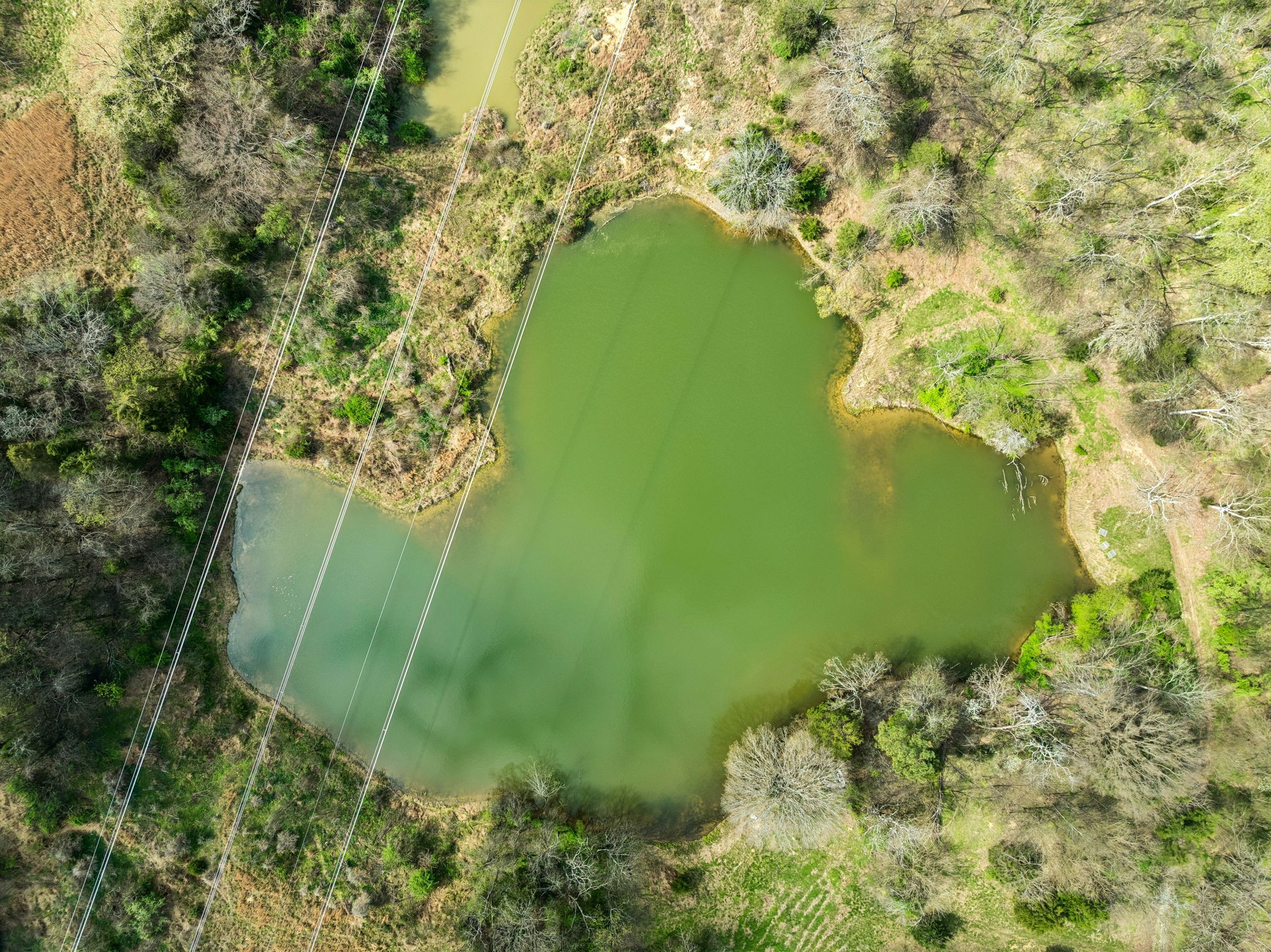 0 Tom Sharp Road Columbia, TN 38401 - Photo 56 of 60