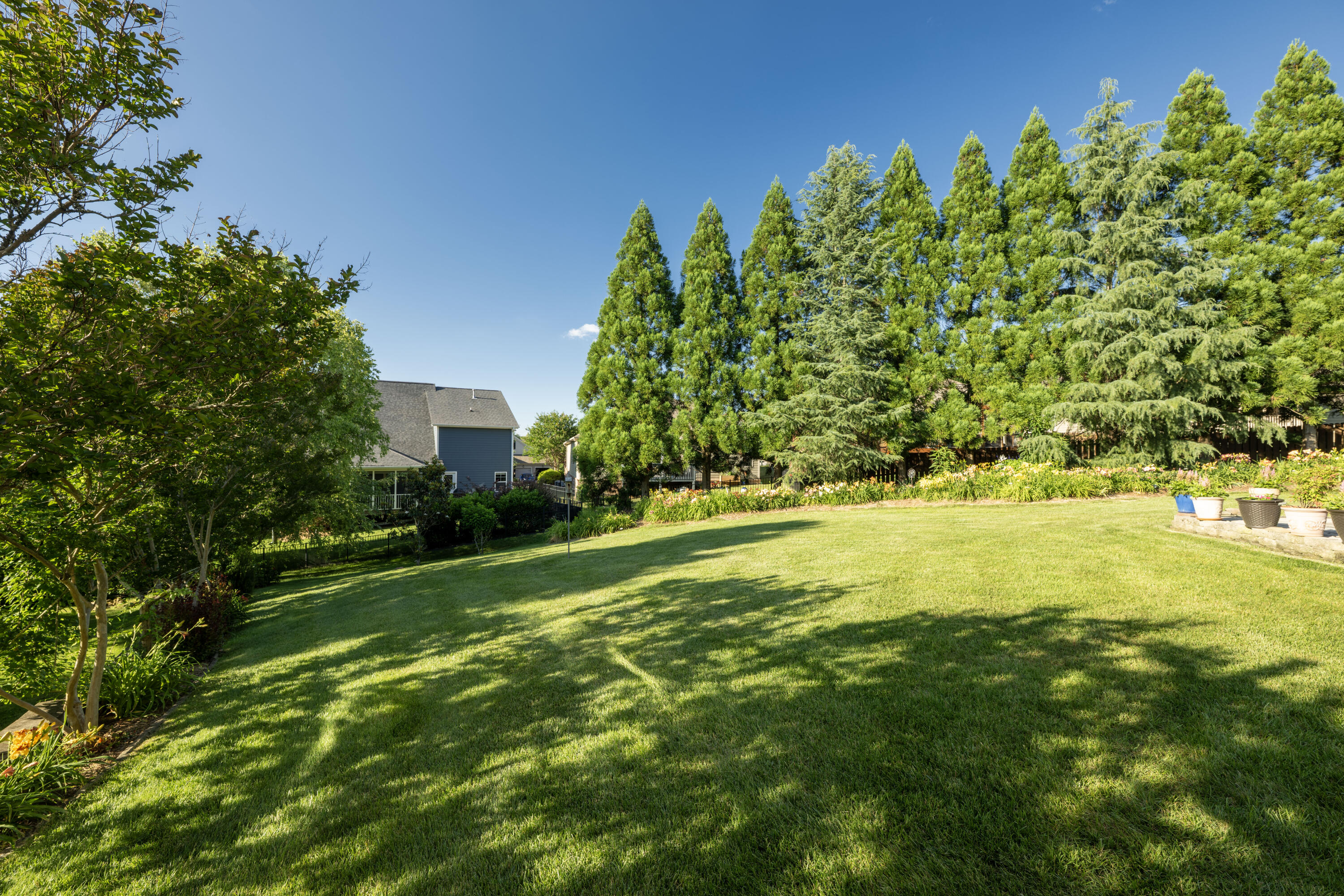 788 Shearer Cove Road Chattanooga, TN 37405 - Photo 58 of 68 56-print-DSC_5993-17