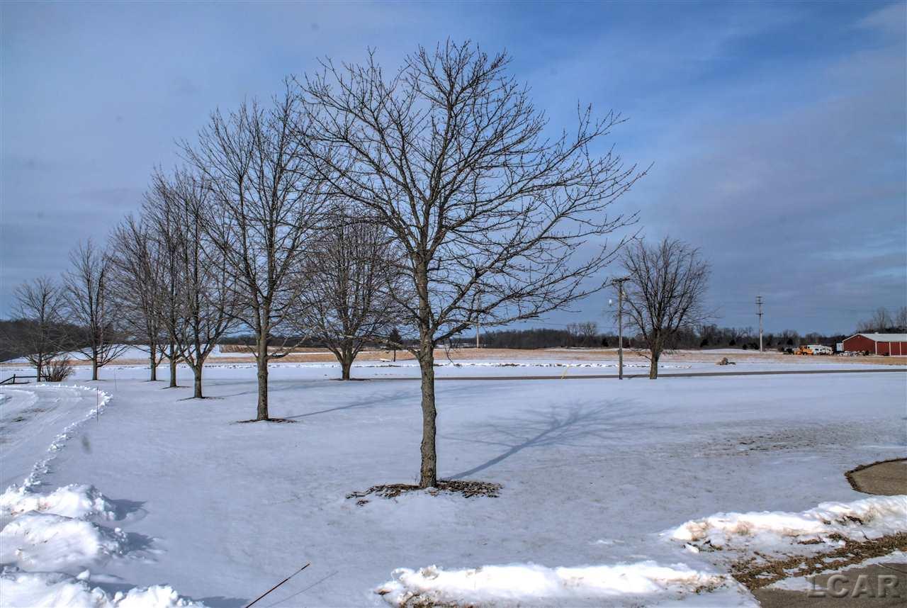 6111 Clinton Macon Road Clinton, MI 49236 - Photo 35 of 38