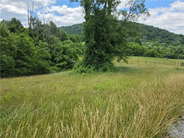 $24,000 | Lot 4 Toms Knob Road, Unit 4, Sparta, NC 28675