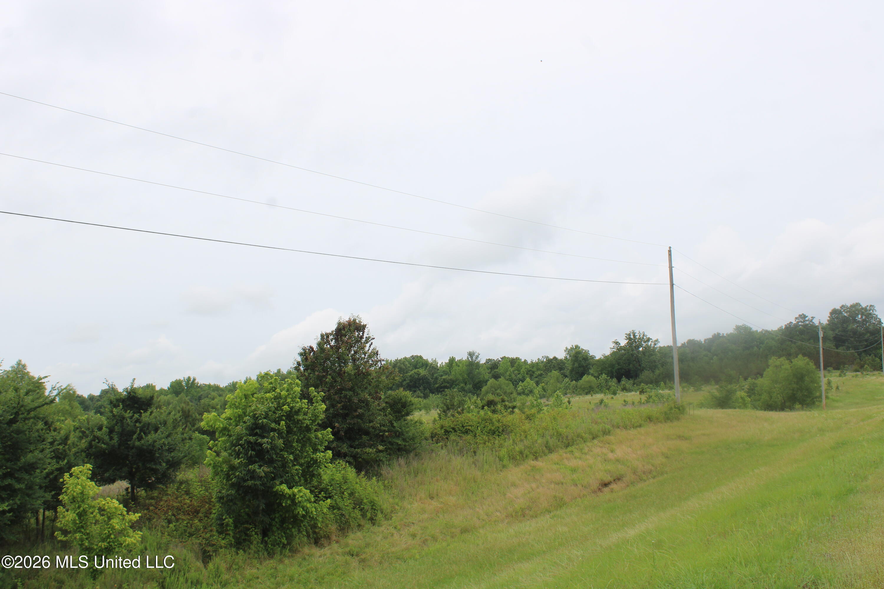 2 Eason Farm Road Byhalia, MS 38611 - Photo 18 of 23 IMG_7842