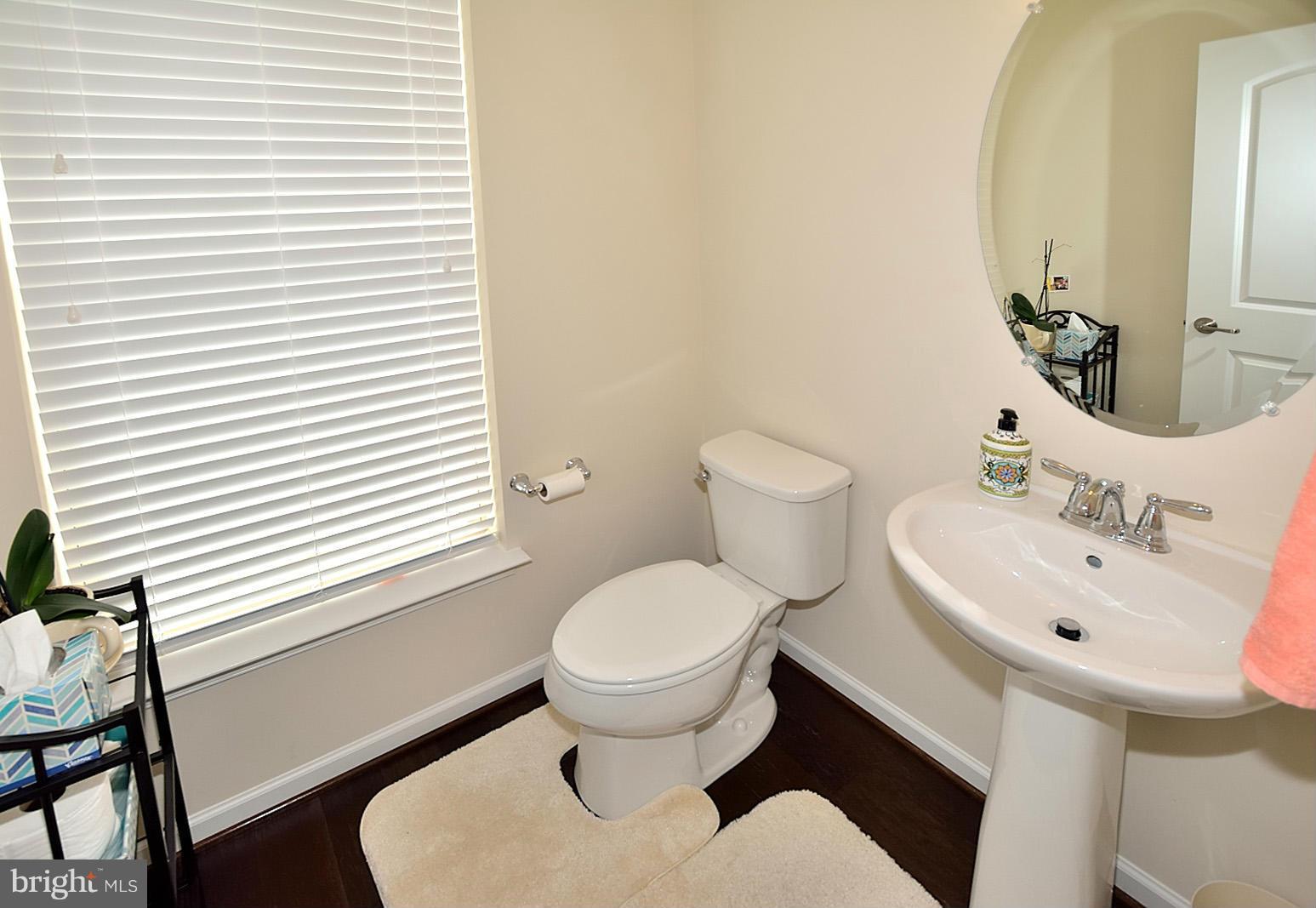 25278 Arrowroot Terrace Chantilly, VA 20152 - Photo 4 of 20 Interior (General)