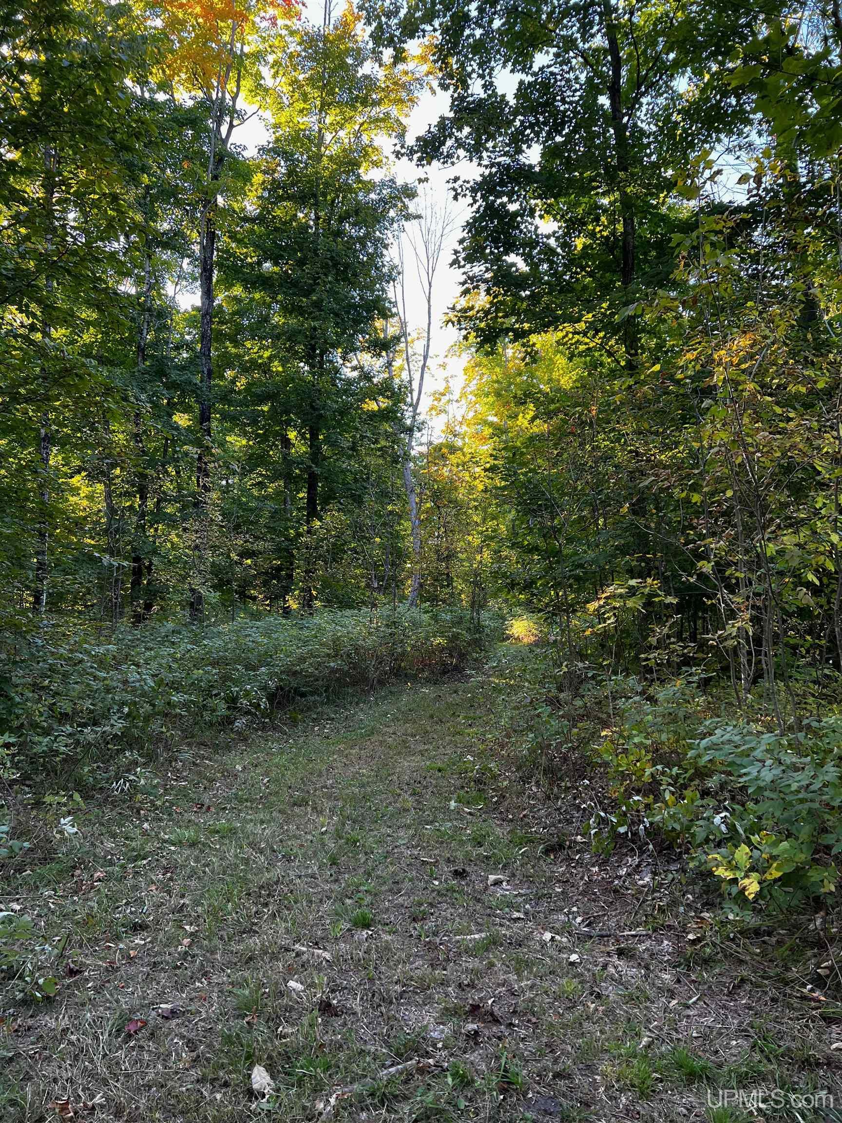 4875 North Chip Lake Road Germfask, MI 49836 - Photo 18 of 43 Gallery Image 18