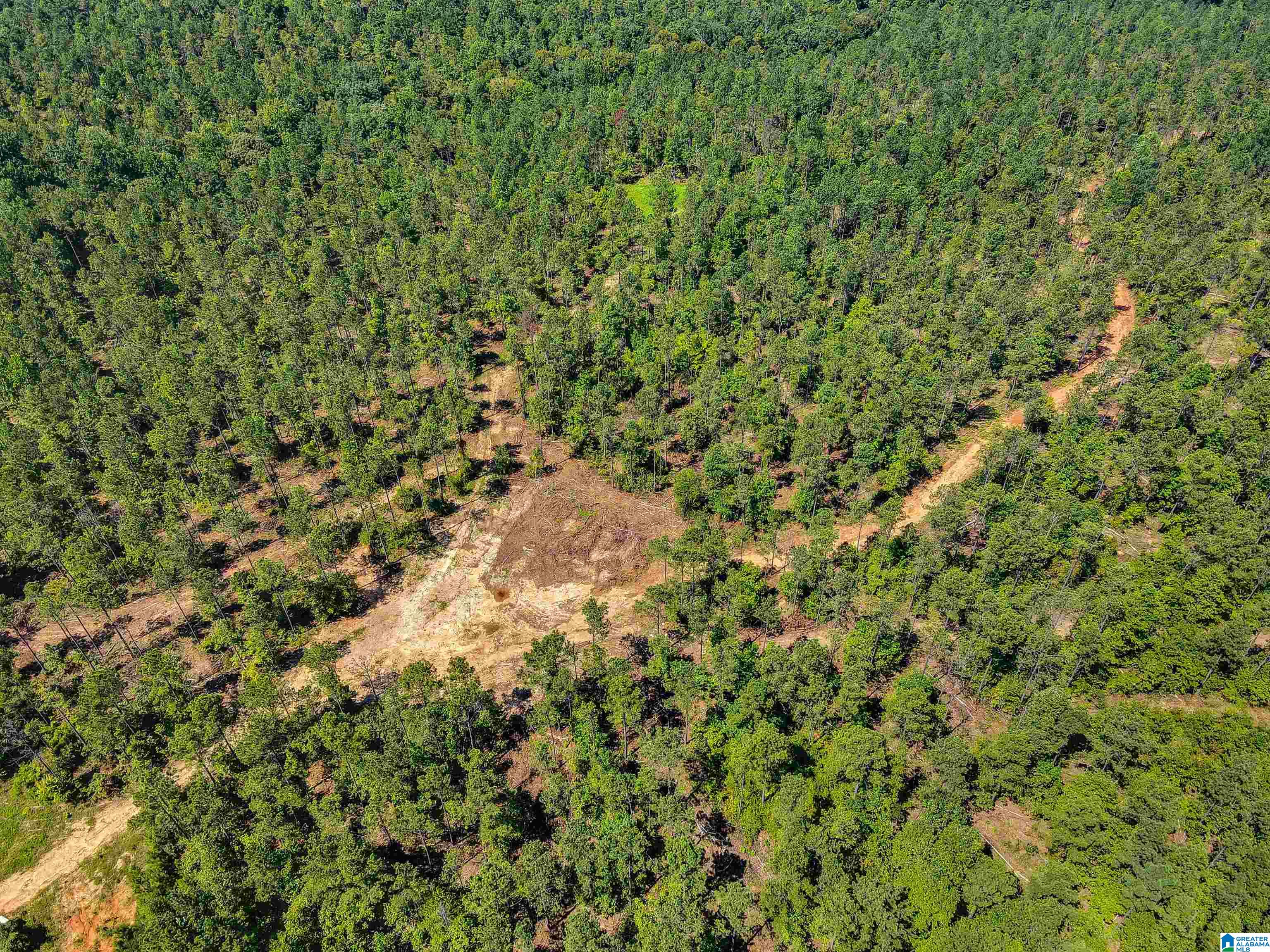 0 County Road 465, Unit 1 Clanton, AL 35045 - Photo 5 of 16