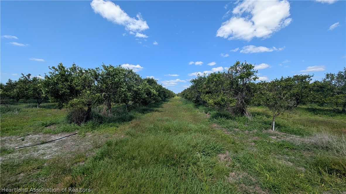 Crewsville Road Zolfo Springs, FL 33890 - Photo 26 of 34 a view of a green field