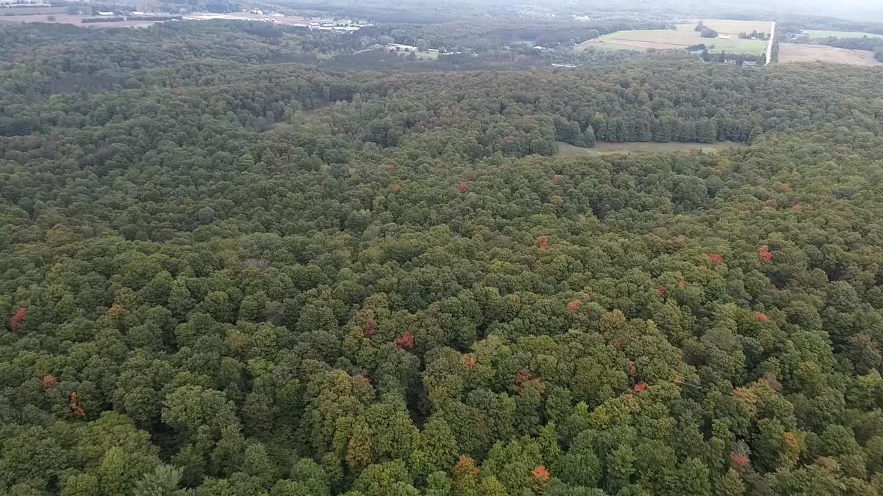 0 South Fritz Road Empire, MI 49630 - Photo 7 of 28
