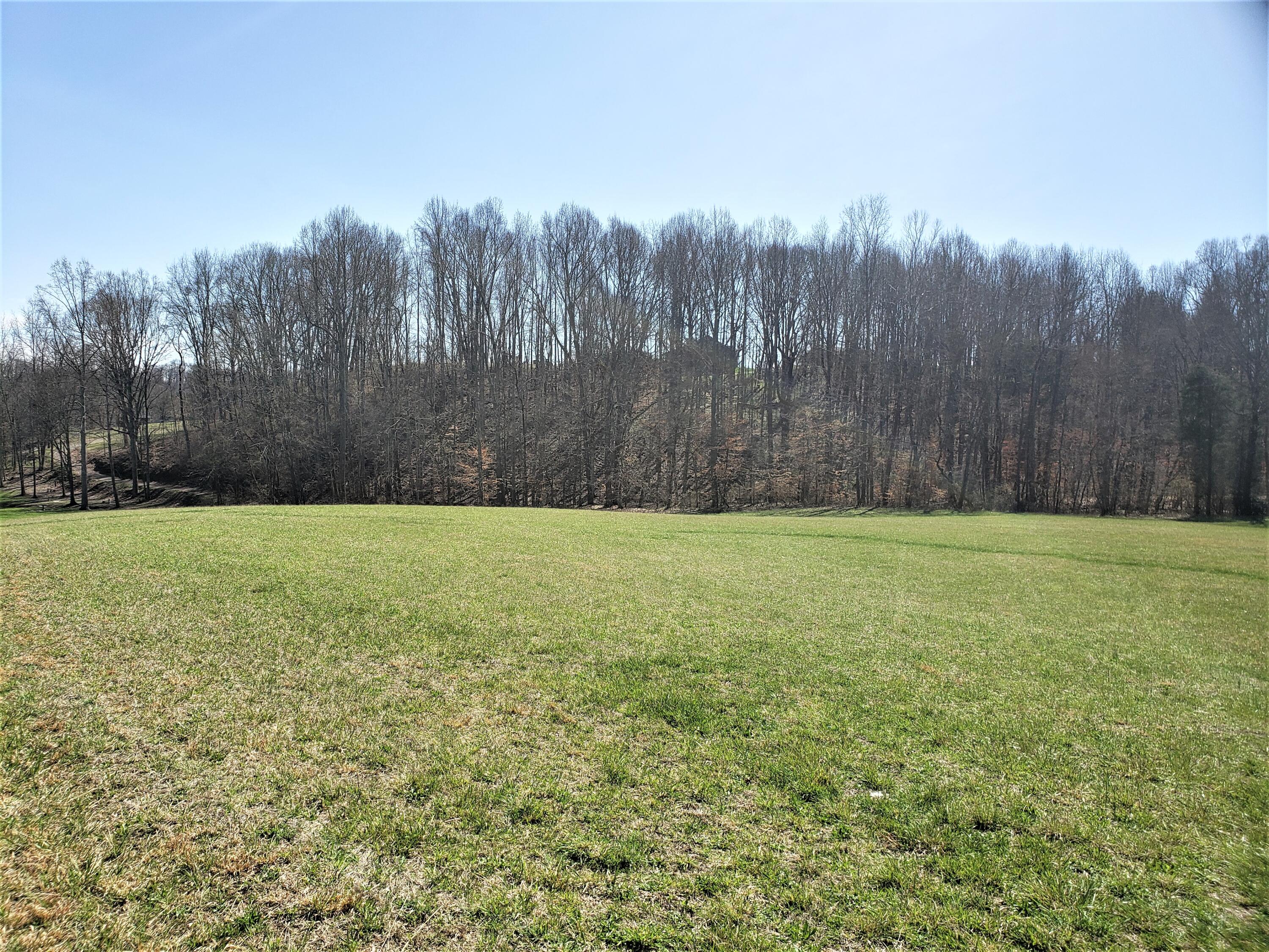 Off Carters Valley Road Church Hill, TN 37645 - Photo 1 of 3 2