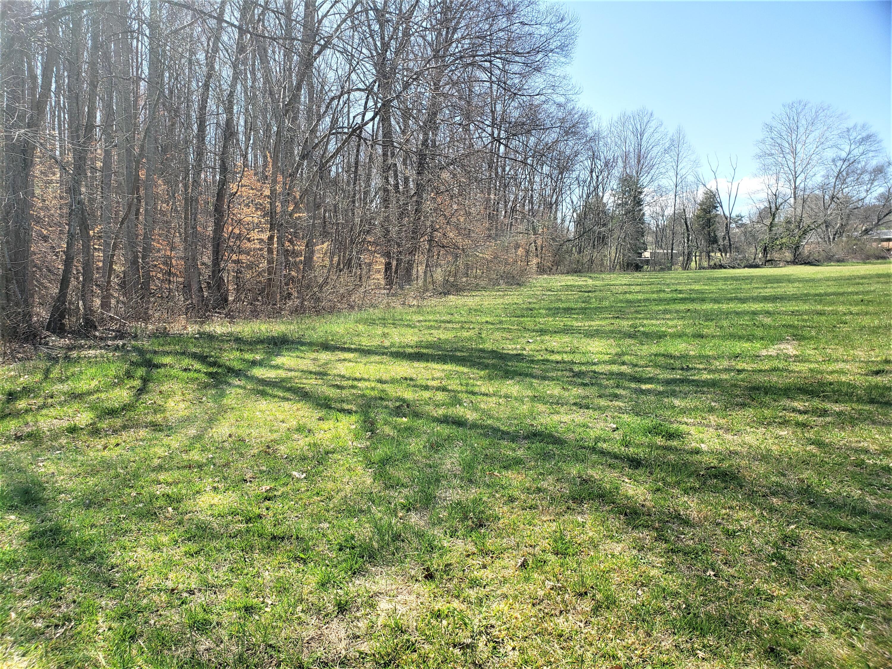 Off Carters Valley Road Church Hill, TN 37645 - Photo 2 of 3 3